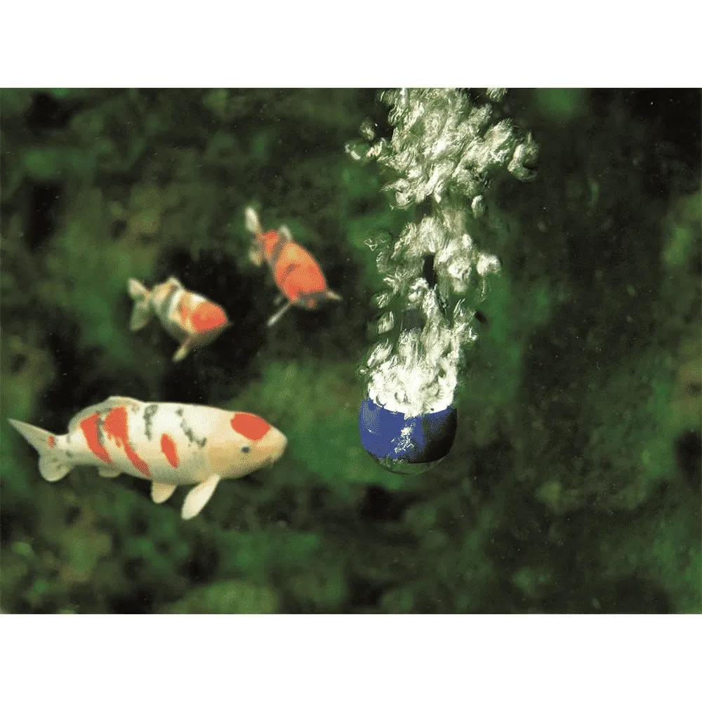 Näsets Ciklidhobby AquaOxy 500 syresten damm 5 m3