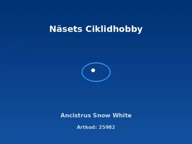 Näsets Ciklidhobby Ancistrus Snow White mal 4 cm vit