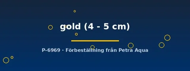 Poecilia latipinna gold molly 4–5 cm tålig