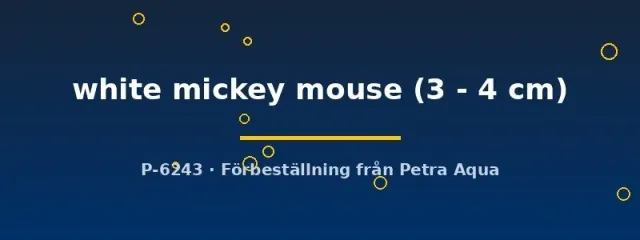 Näsets Ciklidhobby Platy white mickey mouse akvariefisk 3–4 cm