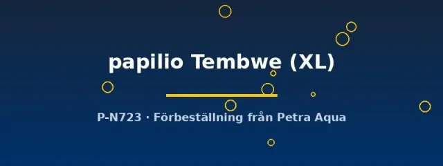 Xenotilapia papilio Tembwe XL ciklid Tanganyika