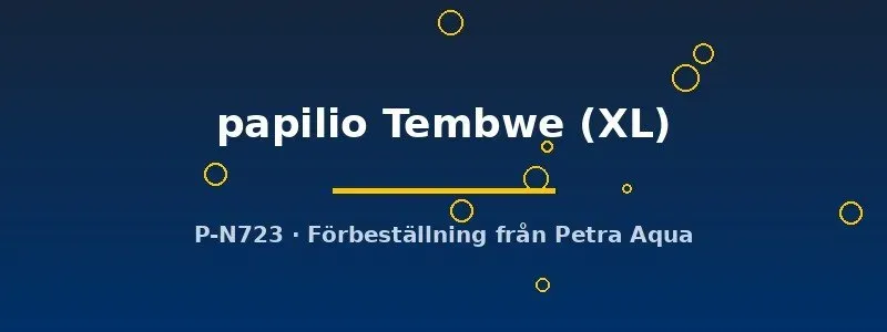 Xenotilapia papilio Tembwe XL ciklid Tanganyika