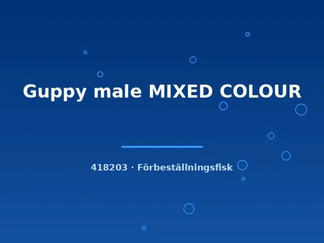 Näsets Ciklidhobby Guppy Male Mixed Colour akvariefisk hane lg