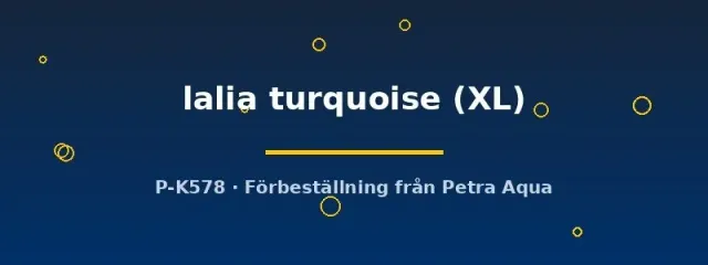 Colisa lalia Turquoise dvärggurami XL turkos