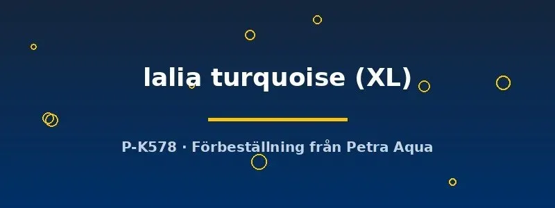 Colisa lalia Turquoise dvärggurami XL turkos