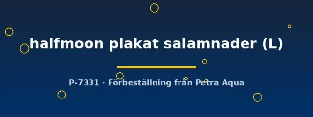 Näsets Ciklidhobby Betta Halfmoon Plakat kampfisk L hane