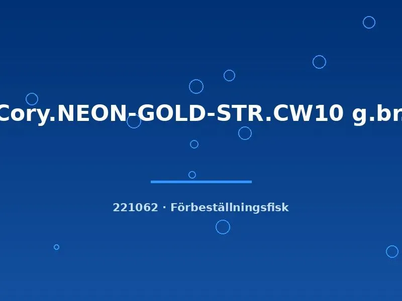 Näsets Ciklidhobby Cory NEON-GOLD-STR. CW10 pansarmal sm–md