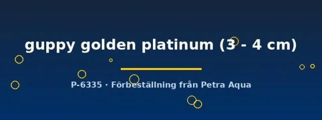 Näsets Ciklidhobby Guppy golden platinum hane 3-4 cm