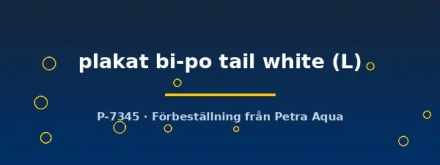 Näsets Ciklidhobby Betta male plakat kampfisk vit L hanne