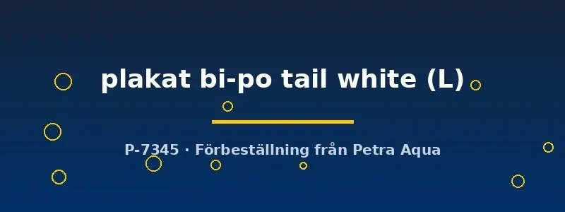 Näsets Ciklidhobby Betta male plakat kampfisk vit L hanne