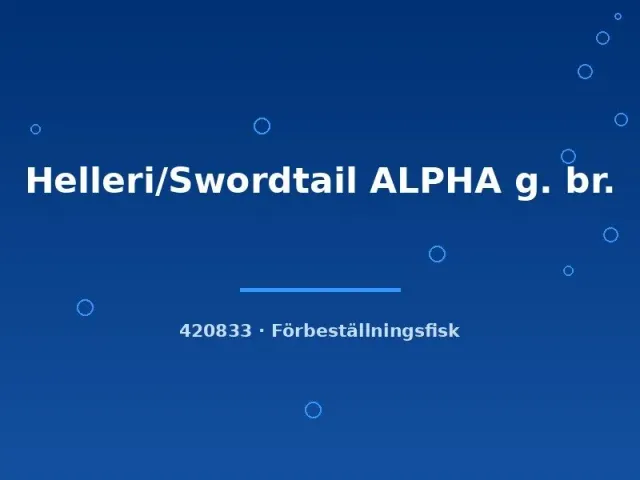 Näsets Ciklidhobby Helleri Swordtail ALPHA svärdbärare large