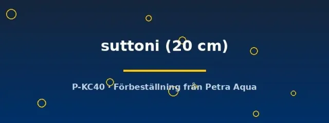 Näsets Ciklidhobby Mal Panaque suttoni 20 cm vedätare