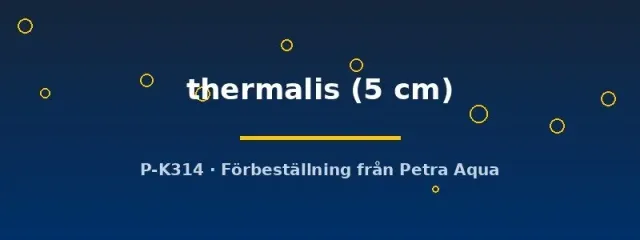 Näsets Ciklidhobby Lepidocephalichthys thermalis grönling 5 cm