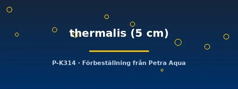 Näsets Ciklidhobby Lepidocephalichthys thermalis grönling 5 cm