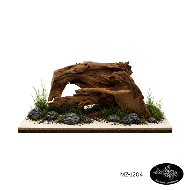 Marlenes Zookällare Mangroverot MZ-1204 akvarierot 50x35x28 unik