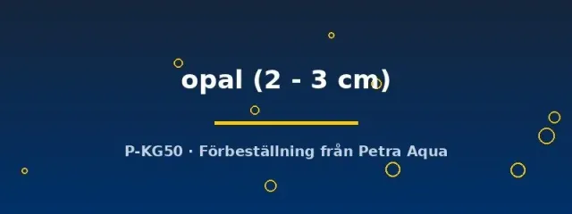 Näsets Ciklidhobby Poecilia endler opal guppy 2–3 cm färg
