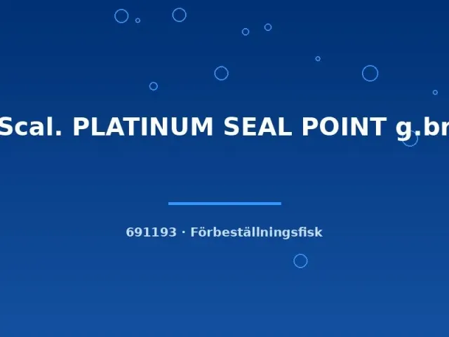 Näsets Ciklidhobby Platinum Seal Point skalar ml sötvatten