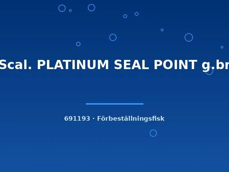 Näsets Ciklidhobby Platinum Seal Point skalar ml sötvatten