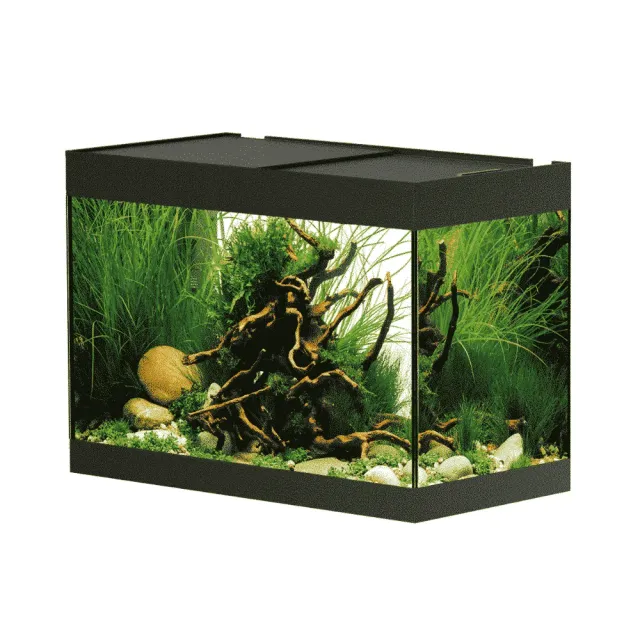 Näsets Ciklidhobby StyleLine 125 akvarium svart