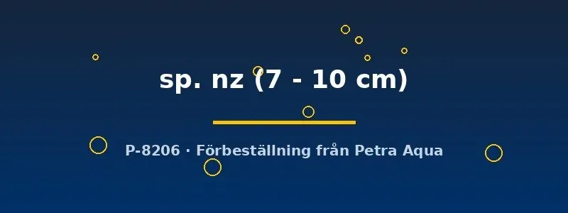 Näsets Ciklidhobby L205 Peckoltia mal 7–10 cm grottlekare