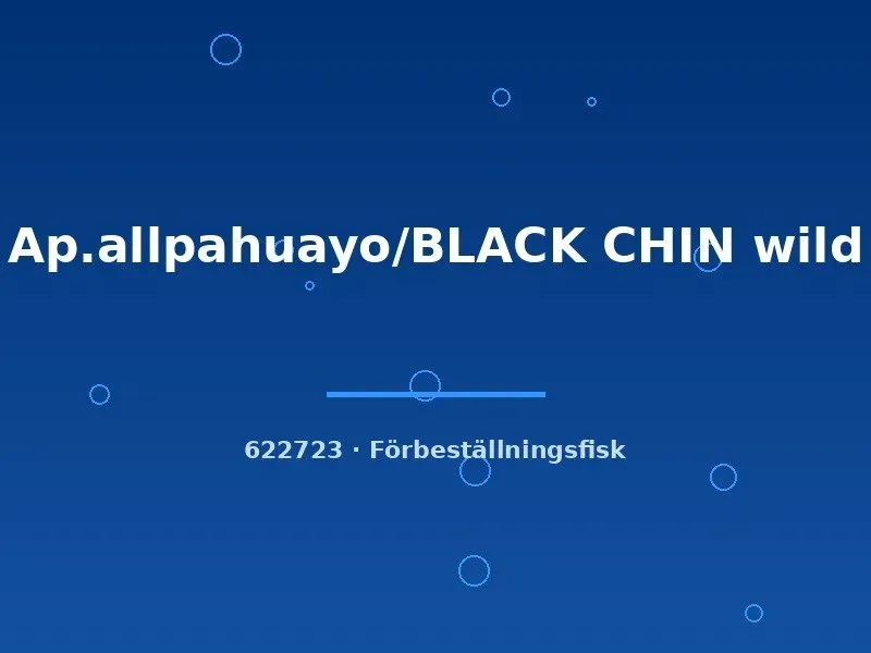 Näsets Ciklidhobby Ap. allpahuayo Black Chin ciklid vild md-lg