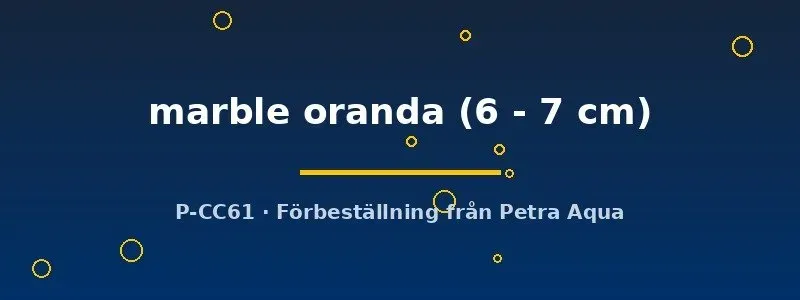 Näsets Ciklidhobby Marble Oranda slöjstjärt 6–7 cm