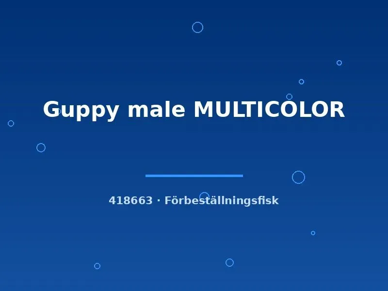 Näsets Ciklidhobby Guppy male MULTICOLOR akvariefisk lg färgstark