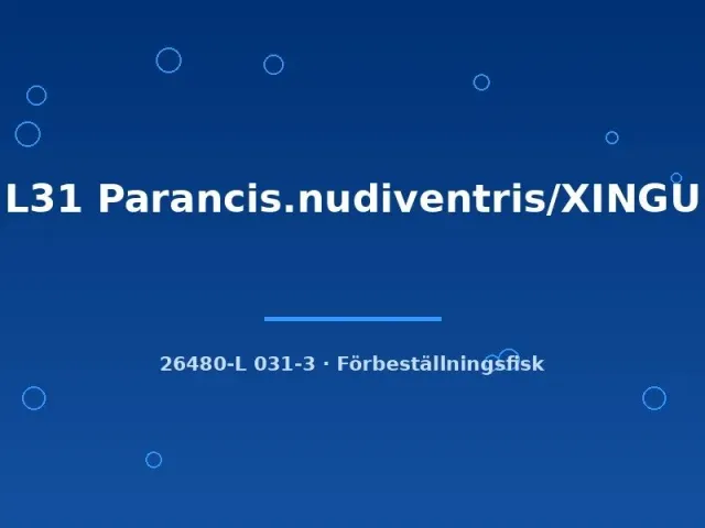 Näsets Ciklidhobby L31 Parancistrus nudiventris mal 6–8 cm