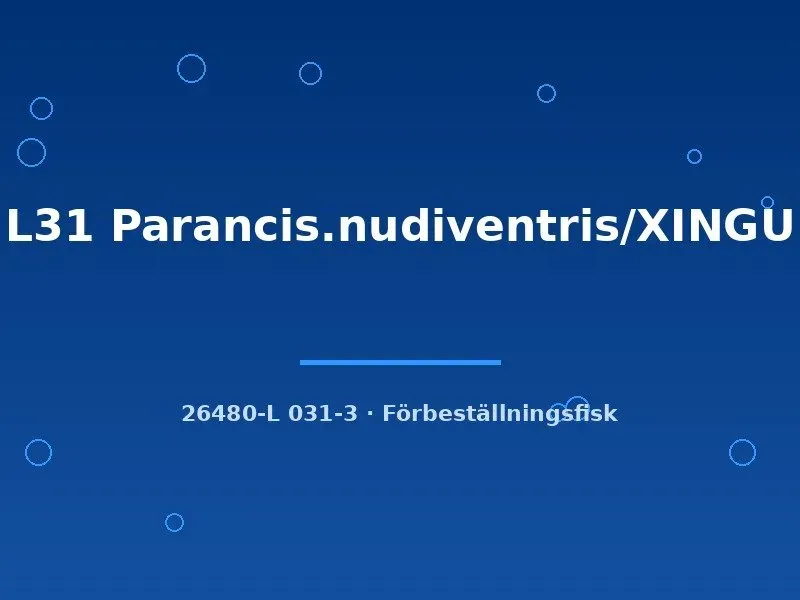 Näsets Ciklidhobby L31 Parancistrus nudiventris mal 6–8 cm