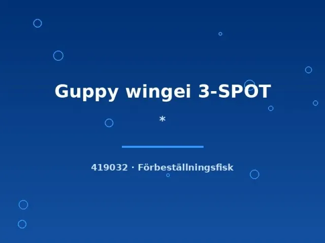 Näsets Ciklidhobby Guppy Wingei 3-SPOT guppy md