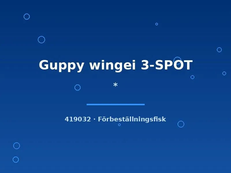 Näsets Ciklidhobby Guppy Wingei 3-SPOT guppy md