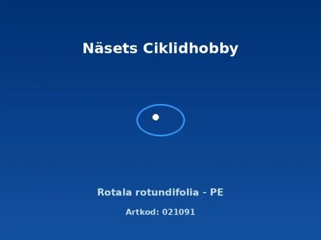 Näsets Ciklidhobby Rotala rotundifolia PE akvarieväxt