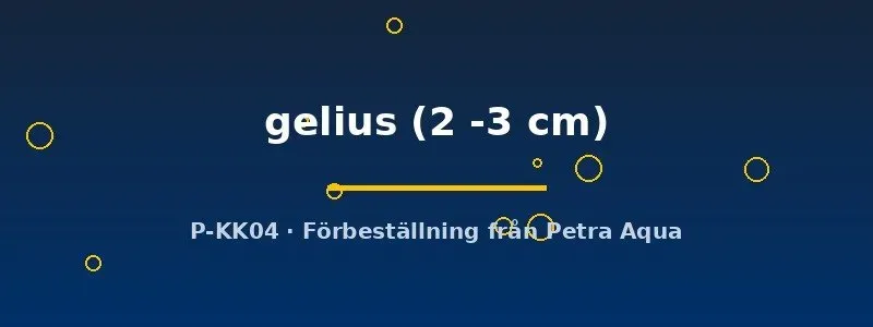 Näsets Ciklidhobby Puntius gelius akvariefisk 2–3 cm stimfisk