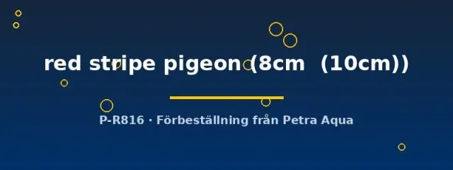 Näsets Ciklidhobby Symphysodon red stripe pigeon diskus 8–10 cm