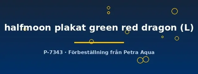 Näsets Ciklidhobby Betta halfmoon plakat green red dragon kampfisk L