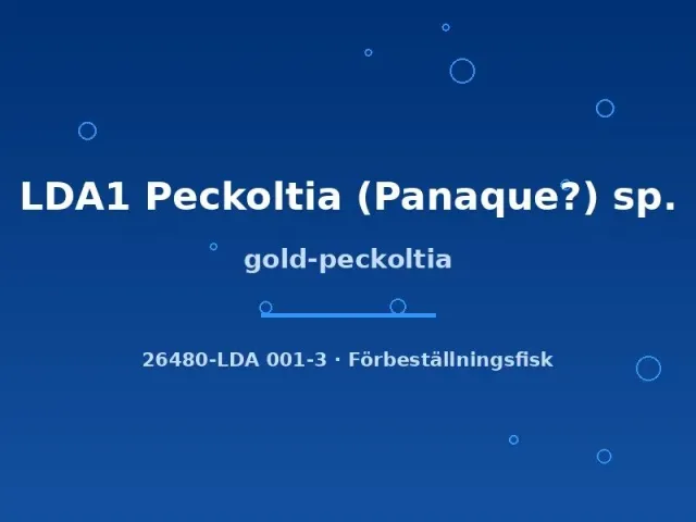 Näsets Ciklidhobby Gold-peckoltia LDA1 mal 5–7 cm akvariefisk