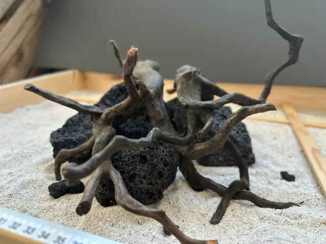 Garnelen TV Hardscape Set 2 hardscape svart lava