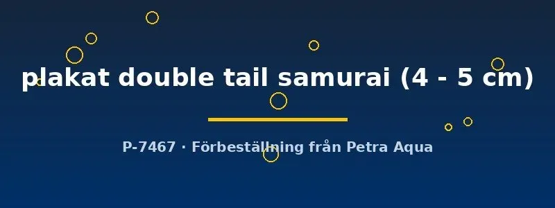 Näsets Ciklidhobby Betta plakat double tail samurai kampfisk 4–5 cm