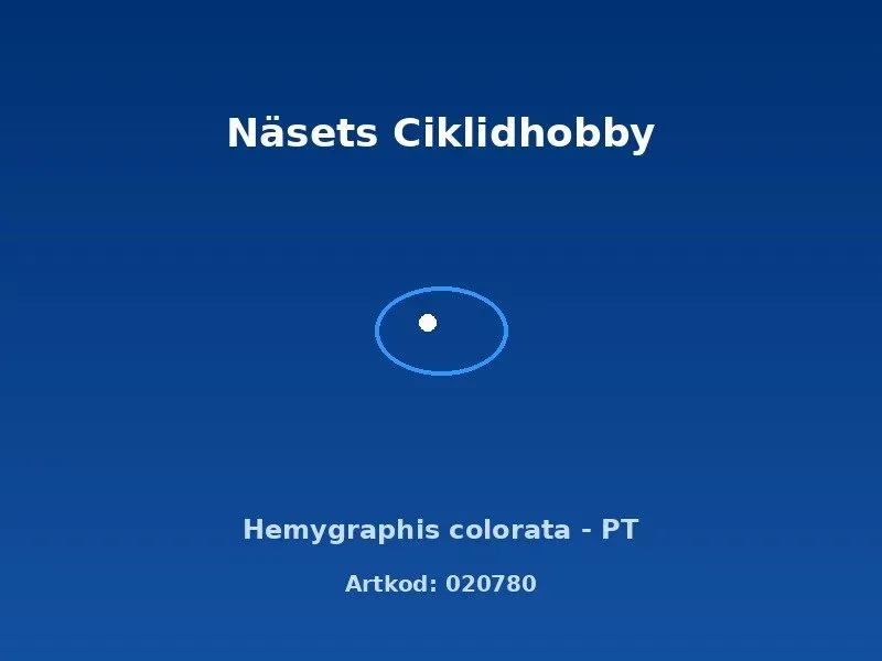 Näsets Ciklidhobby Hemygraphis colorata PT akvarieväxt röd