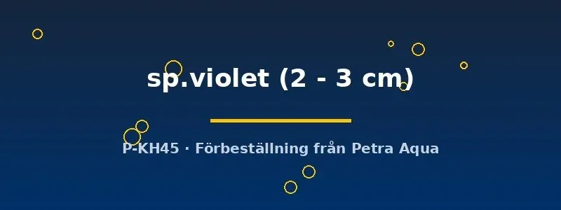 Näsets Ciklidhobby Geosesarma sp.violet krabba 2–3 cm paludarium