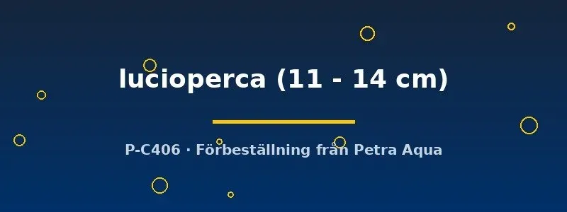 Näsets Sander lucioperca gös rovfisk 11–14 cm
