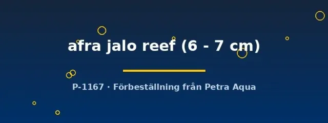 Cynotilapia afra jalo reef malawiciklid 6-7 cm blå
