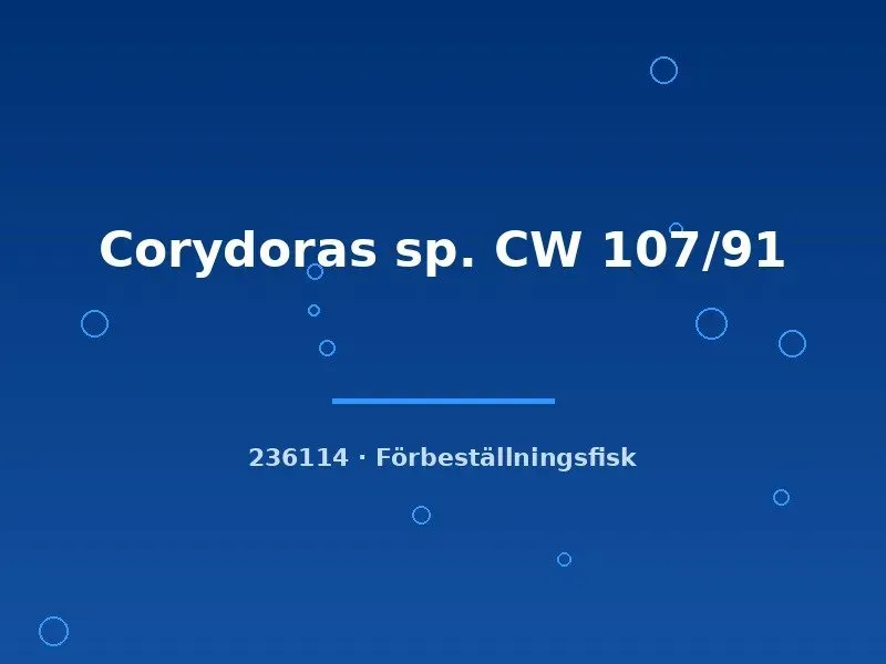 Näsets Ciklidhobby Corydoras CW 107/91 mal lg sällsynt