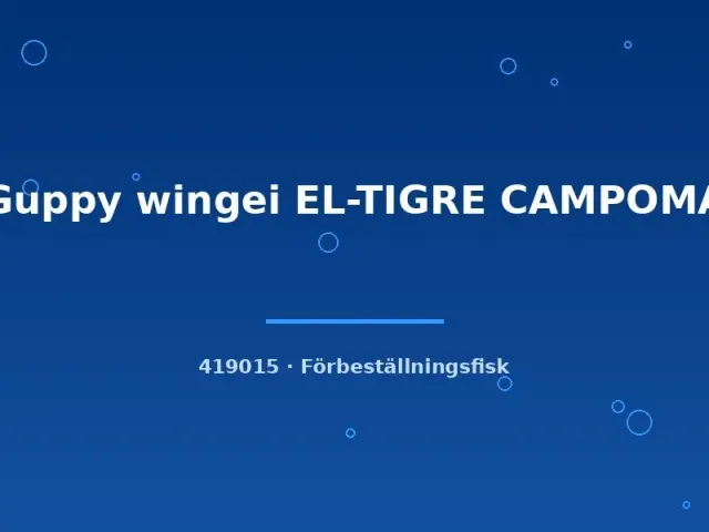 Näsets Ciklidhobby Guppy wingei El-Tigre Campoma akvariefisk