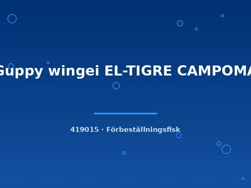 Näsets Ciklidhobby Guppy wingei El-Tigre Campoma akvariefisk