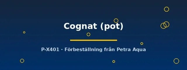 Näsets Ciklidhobby Echinodorus Cognat svärdsplanta pot grön
