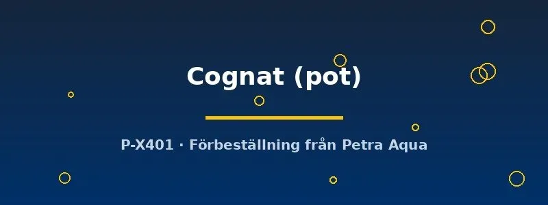 Näsets Ciklidhobby Echinodorus Cognat svärdsplanta pot grön