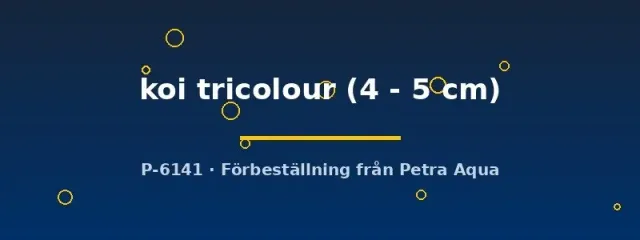 Näsets Koi tricolour svärdfisk 4–5 cm tålig