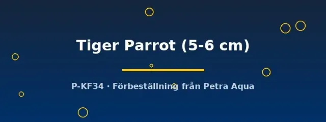 Näsets Hybrid Blue Neon Tiger Parrot akvariefisk 5–6 cm blå