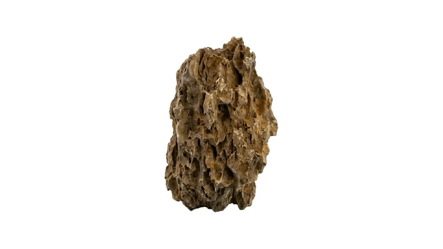 Garnelen TV Drachenstein M akvariesten ca 1 kg porös